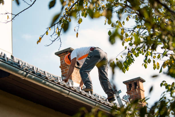 Best New Roof Installation  in Williston, ND