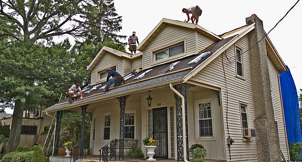 Professional Roofing Contractor in Williston, ND